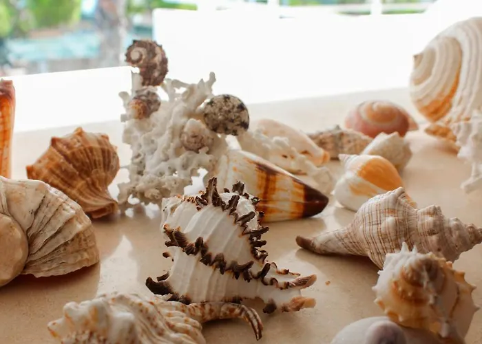 Blue Horizon 모노폴리