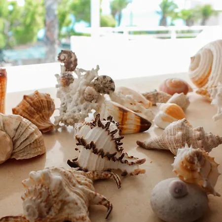 Blue Horizon Monopoli